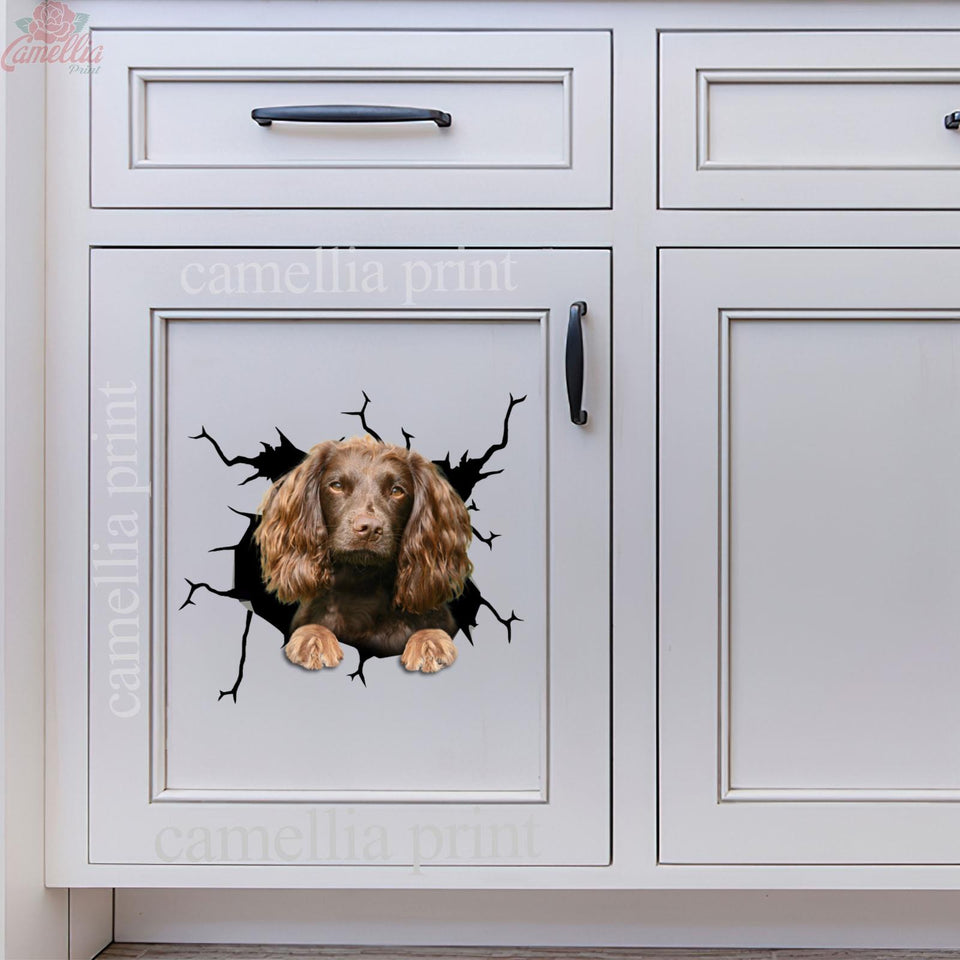 Boykin Spaniel Crack Sticker For Back Window Wiper A Cute Custom Decal Stickers Gardening Gifts
