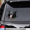 Tell Your Dogs I Said Hi - Black Labrado Vinyls Car Decals