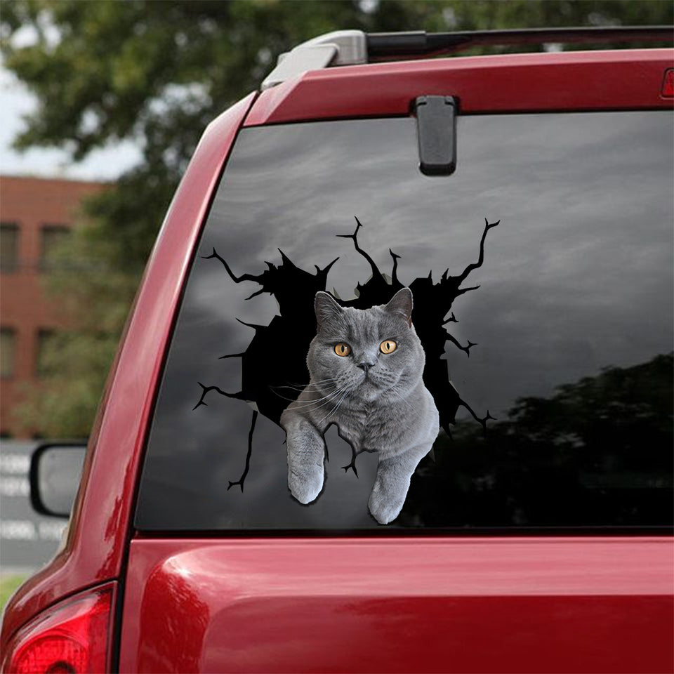 [sk0868-snf-tnt]-british-shorthair-crack-sticker-cats-lover