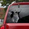 [sk0868-snf-tnt]-british-shorthair-crack-sticker-cats-lover