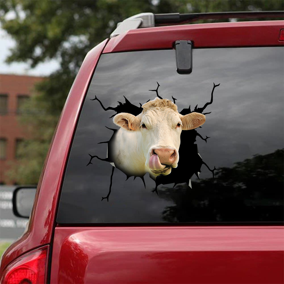 [sk1212-snf-ptd]-charolais-cow-crack-sticker-cattle-lover