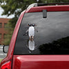 [sk0640-snf-tpa]-couple-penguin-crack-sticker-animals-lover