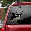 [sk0750-snf-tpa]-crocodile-crack-car-sticker-animals-lover