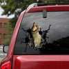 [sk0749-snf-tpa]-crocodile-crack-car-sticker-animals-lover