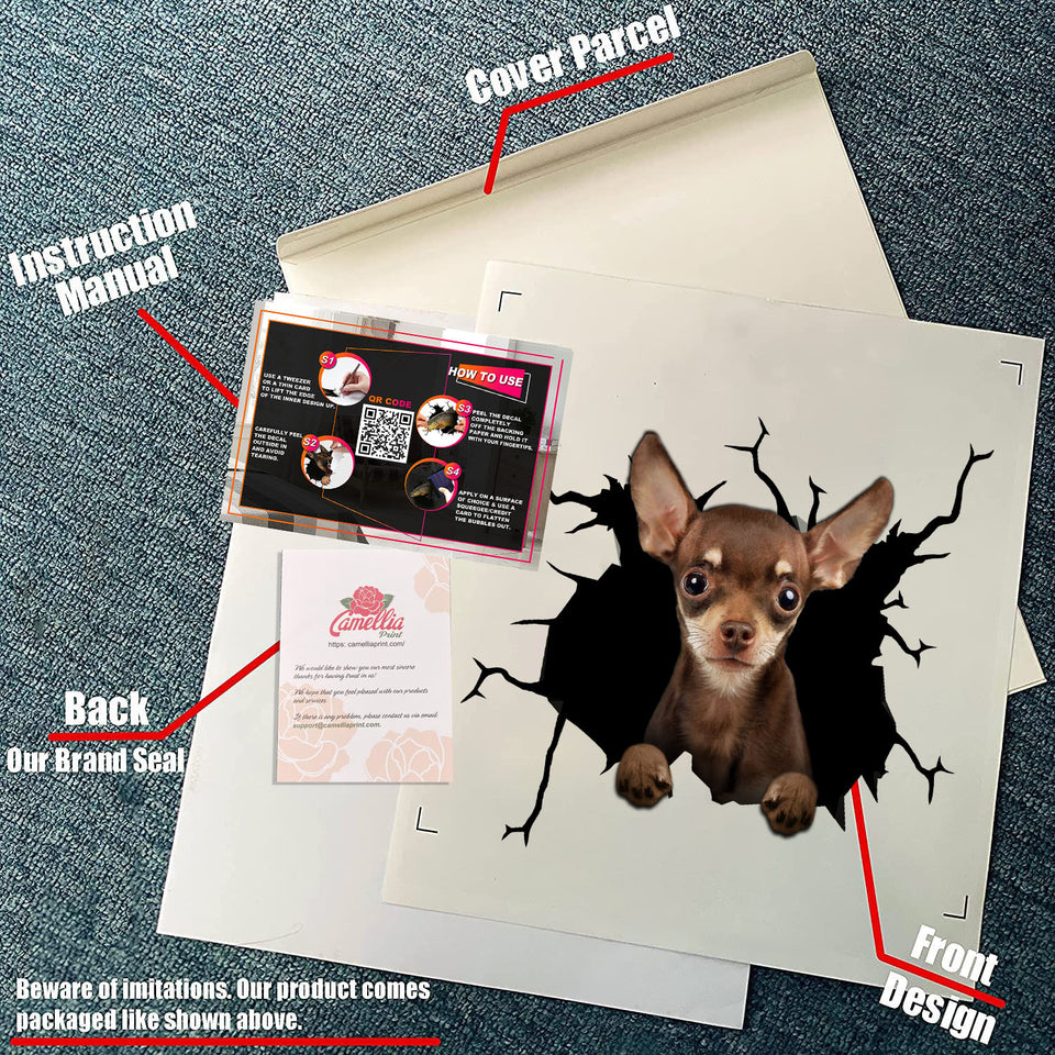 Chihuahua Crack Bone Sticker Super Cute Car Sticker Anniversary Gifts For Her - durable UV resistant bumper and tumbler decal detail