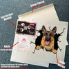 German Shepherd Crack Sticker Album Funny Custom Logo Stickers Dog Memorial Gifts