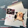 Golden Retriever Crack Stickers For Water Bottle Funny Memes Sticker Designs Gifts For Women - durable UV resistant bumper and tumbler decal detail