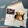 Golden Retriever Crack Decal Items Lovable Custom Sticker Maker Wedding Anniversary Gifts - durable UV resistant bumper and tumbler decal detail