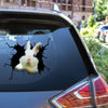 Rabbit Crack Bone Sticker Cute Custom Sticker Sheets Gift Sets - Wildlife & Nature die-cut waterproof vinyl sticker decal
