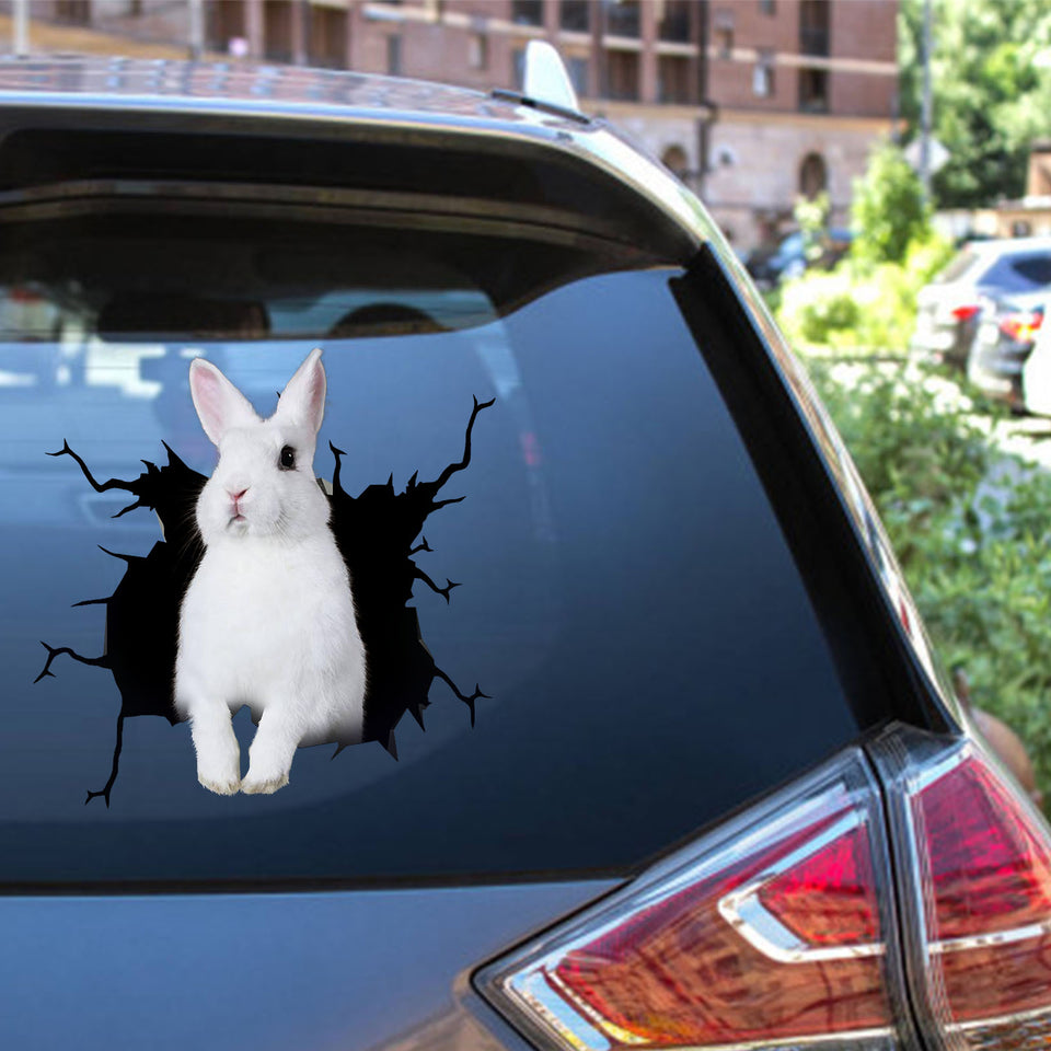 Rabbit Crack Decals Funny Birthday Memes Decals Stickers Christmas Gift Ideas For Him - Wildlife & Nature die-cut waterproof vinyl sticker decal