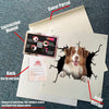 Border Collie Crack Sticker Pack Corny Jokes Big Stickers Cute Gifts For Boyfriend