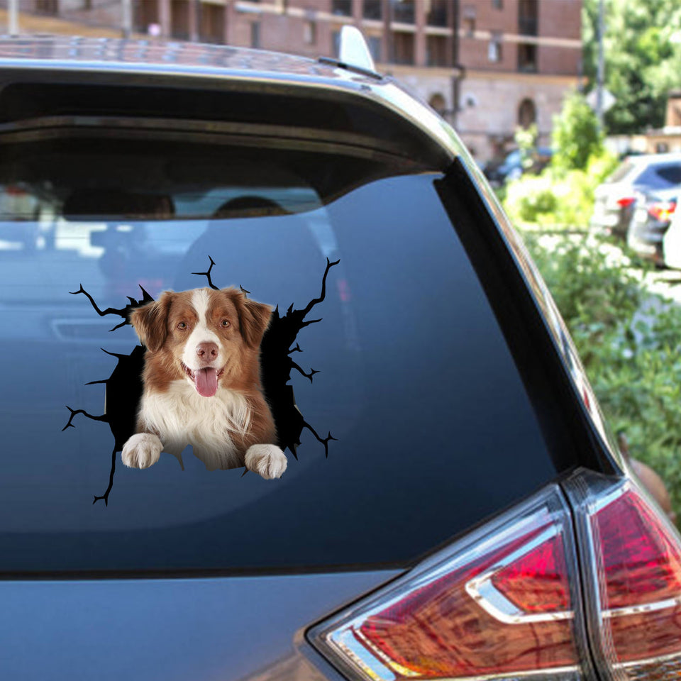 Border Collie Crack Sticker Pack Corny Jokes Big Stickers Cute Gifts For Boyfriend