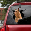 Irish Terrier Crack Decal Items Your Cute Jeans Car Decal Stickers Best Gifts - Dog Lovers die-cut waterproof vinyl sticker decal