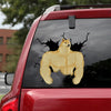 Doge Crack Decals Your Cute Vinyl Stickers Gifts For Couples - General die-cut waterproof vinyl sticker decal