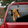 Chow Chow Crack Bumper Sticker Kawaii Vinyl Letter Stickers Unique Birthday Gifts For Him - Dog Lovers die-cut waterproof vinyl sticker decal
