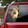 Chow Chow Crack Decal Window Wiper Your Cute Jeans Custom Vinyl Decals Retirement Gifts For Women - Dog Lovers die-cut waterproof vinyl sticker decal