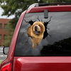 Chow Chow Crack Decal For Wall Happy Window Decals Dog Lover Gifts - Dog Lovers die-cut waterproof vinyl sticker decal