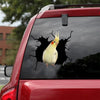 Corella Parrot Crack Stickers Custom Your Cute Jeans Window Decals Presents - Wildlife & Nature die-cut waterproof vinyl sticker decal