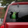 Alexandrine Parrot Crack Decal For Boat Funny Jokes Custom Logo Stickers Stuffer Ideas - Wildlife & Nature die-cut waterproof vinyl sticker decal