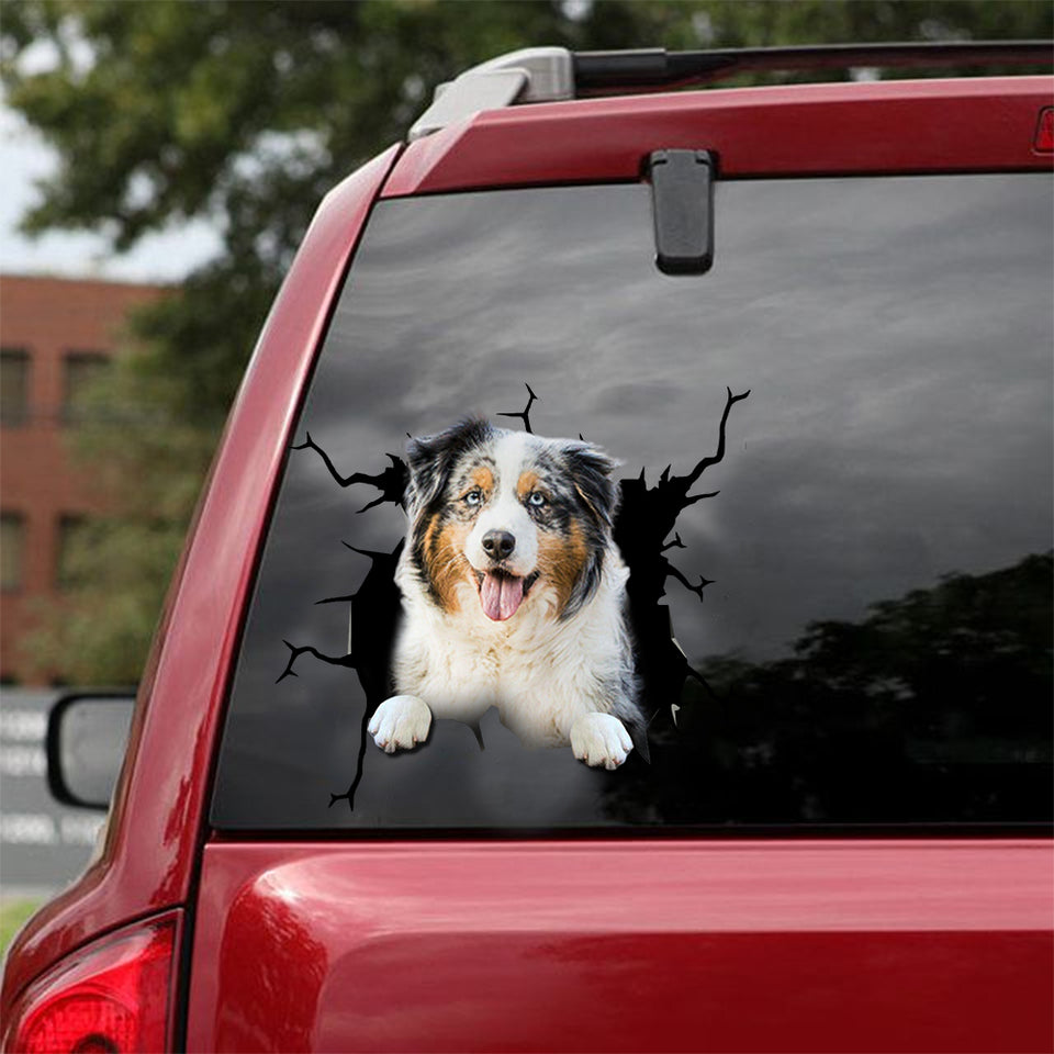 [dt0076-snf-lad]-australian-shepherds-crack-car-sticker-dogs-lover