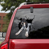 [dt0084-snf-lad]-bluetick-coonhounds-crack-car-sticker-dogs-lover