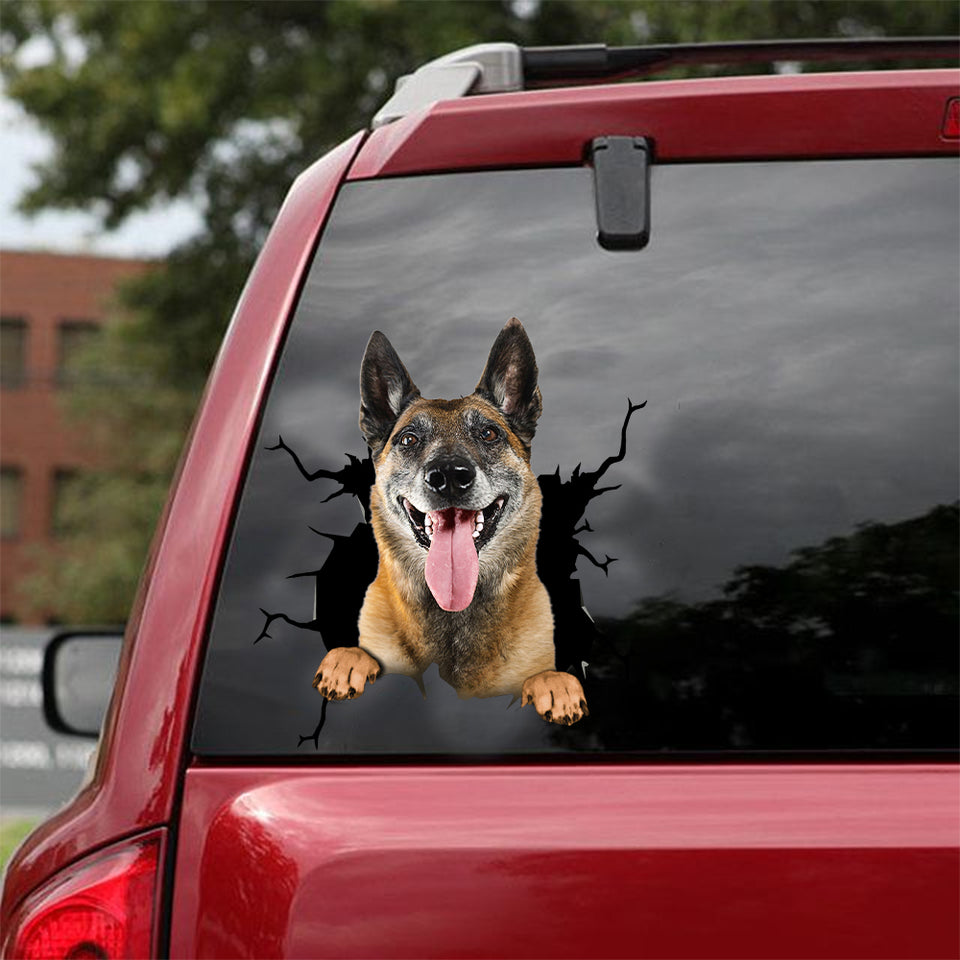 [dt0087-snf-tnt]-belgian-malinois-crack-car-sticker-dogs-lover