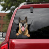 [dt0087-snf-tnt]-belgian-malinois-crack-car-sticker-dogs-lover