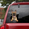 [dt0089-snf-tnt]-belgian-malinois-crack-car-sticker-dogs-lover