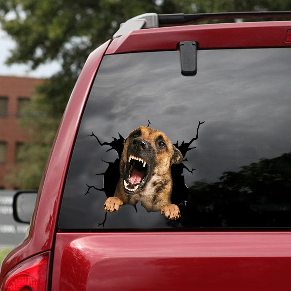 [dt0090-snf-tnt]-belgian-malinois-crack-car-sticker-dogs-lover