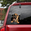 [dt0090-snf-tnt]-belgian-malinois-crack-car-sticker-dogs-lover