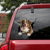[dt0105-snf-tnt]-australian-shepherd-crack-car-sticker-dogs-lover