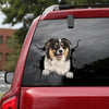[dt0110-snf-tnt]-australian-shepherd-crack-car-sticker-dogs-lover