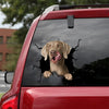 [dt0123-snf-tnt]-weimaraner-crack-car-sticker-dogs-lover