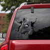 [dt0149-snf-tnt]-chow-chow-crack-car-sticker-dogs-lover