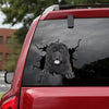 [dt0150-snf-tnt]-chow-chow-crack-car-sticker-dogs-lover