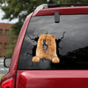 [dt0156-snf-tnt]-chow-chow-crack-car-sticker-dogs-lover