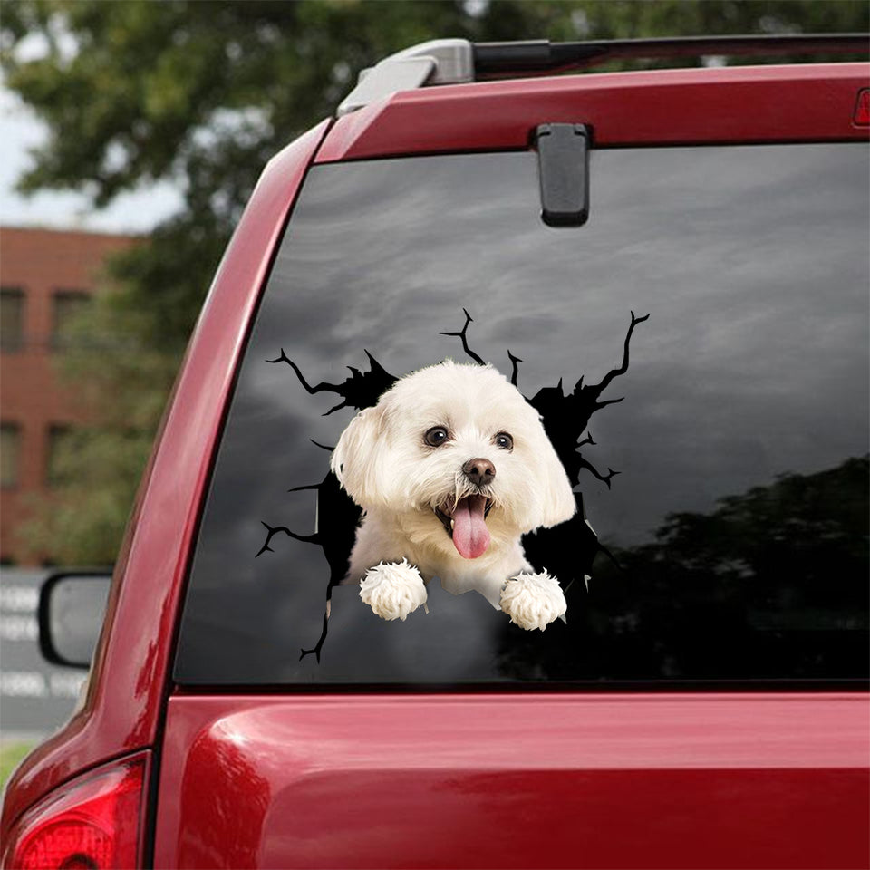 Maltese Crack Decal For Boat Your Cute Name Tag Stickers Christmas Present Ideas - Dog Lovers die-cut waterproof vinyl sticker decal