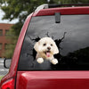 Maltese Crack Decal For Boat Your Cute Name Tag Stickers Christmas Present Ideas - Dog Lovers die-cut waterproof vinyl sticker decal