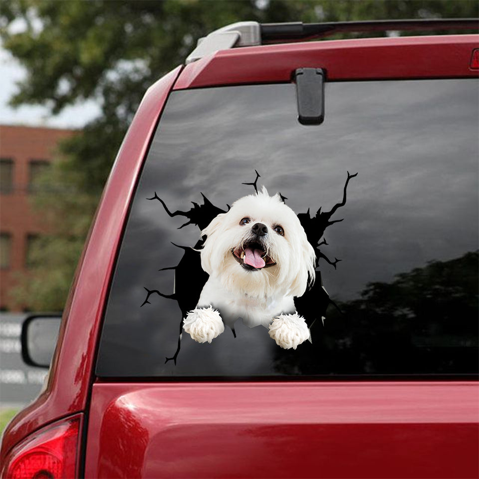 Maltese Crack Sticker Car Window Cool Name Tag Stickers Gifts For Bakers - Dog Lovers die-cut waterproof vinyl sticker decal