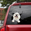 Maltese Crack Sticker Car Window Cool Name Tag Stickers Gifts For Bakers - Dog Lovers die-cut waterproof vinyl sticker decal