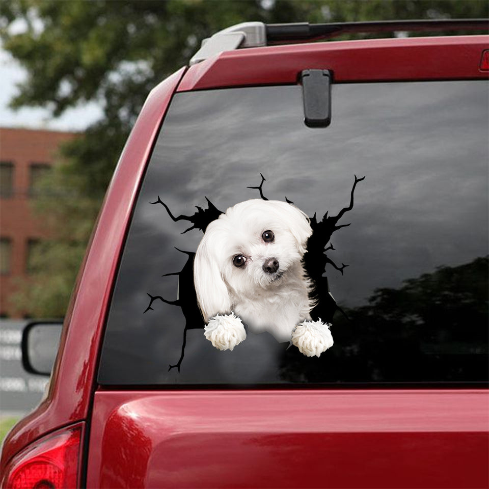 Maltese Crack Dad Decal Happy Kiss Cut Stickers Gifts For Girlfriend - Dog Lovers die-cut waterproof vinyl sticker decal