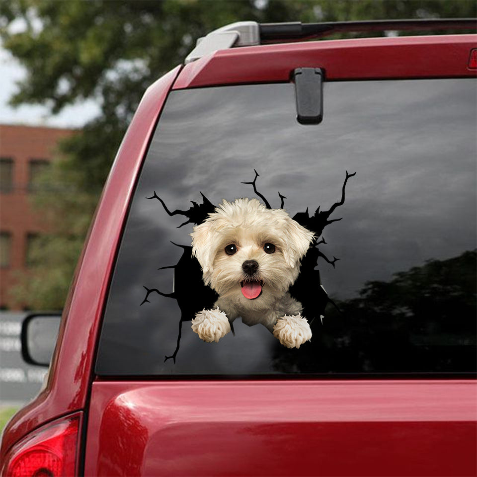Maltese Crack Sticker Box Corny Jokes Custom Logo Stickers 6 Year Anniversary Gift - Dog Lovers die-cut waterproof vinyl sticker decal