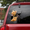 Airedale Crack Decal For Back Car Window The Cutest Face Stickers Best Gifts For Men 2020 - Dog Lovers die-cut waterproof vinyl sticker decal