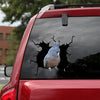 Gang-gang Cockatoo Crack Stickers Your Cute Jeans Vinyl Window Decals Gifts For Mother In Law - Wildlife & Nature die-cut waterproof vinyl sticker decal