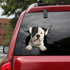 American Bulldog Crack Sticker Design Be Cute Custom Wall Decal Valentines Day Gifts For Him - Dog Lovers die-cut waterproof vinyl sticker decal