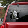 Lipizzaner Horse Crack Sticker Decals Funny Gifs Sticker Designs Moms Mother Day Gifts - Horse Lovers die-cut waterproof vinyl sticker decal