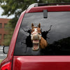 Icelandic Horse Crack Sticker Car Window The Cutest Circle Stickers Gifts For Wine Lovers - Horse Lovers die-cut waterproof vinyl sticker decal