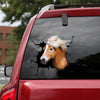 Haflinger Horse Crack Door Decal Funny Gifs Art Stickers Wedding Gifts - Horse Lovers die-cut waterproof vinyl sticker decal