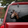 Hanoverian Horse Crack Sticker For Car Window Fun Big Stickers Stuffer Ideas - Horse Lovers die-cut waterproof vinyl sticker decal