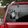 Clydesdale Horse Crack Decal Sticker Car Likeable Custom Decals For Trucks Secret Santa Gift Ideas - Horse Lovers die-cut waterproof vinyl sticker decal